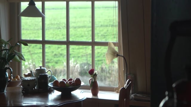NUON MOLEN